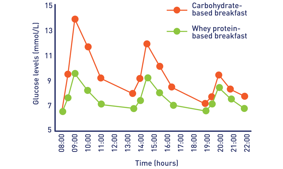 Graph comparing glucose levels after carbohydrate-based vs. whey protein-based breakfasts.